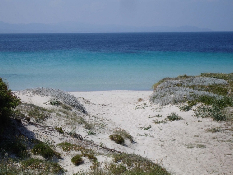 Capo Testa beach 