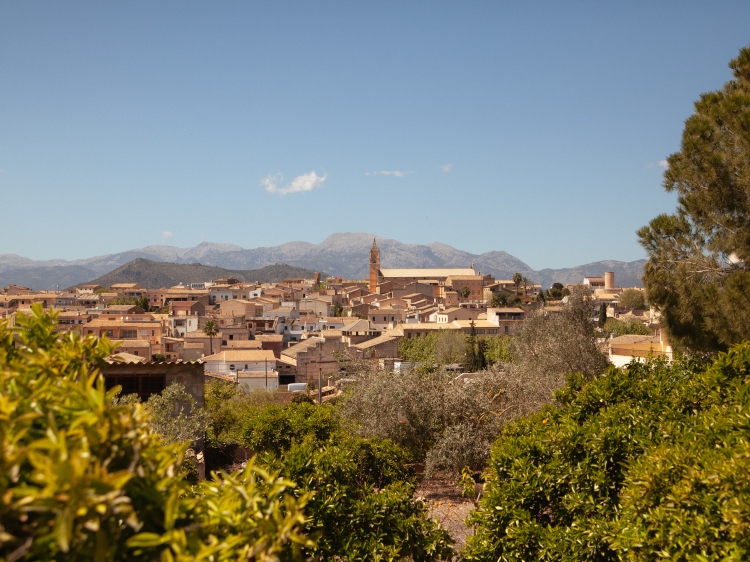 Garten des Hotels Casa Mona. Familienurlaub. Yoga und Wellness-Retreat. Unterkunft in Mallorca, Dorf Llubí. 