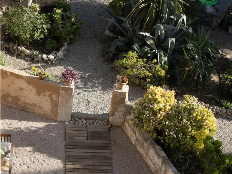 Garten des Hotels Casa Mona. Familienurlaub. Yoga und Wellness-Retreat. Unterkunft in Mallorca, Dorf Llubí. 