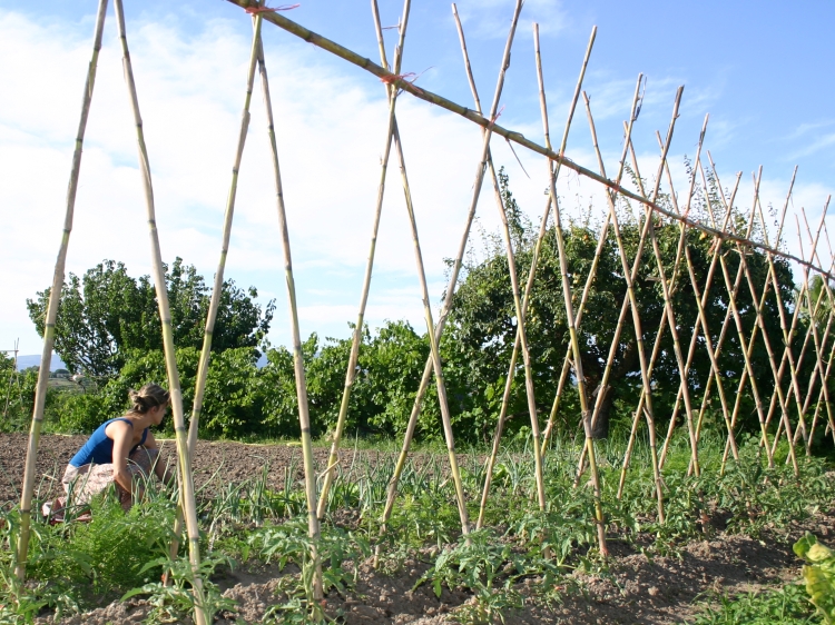 ECO Garden