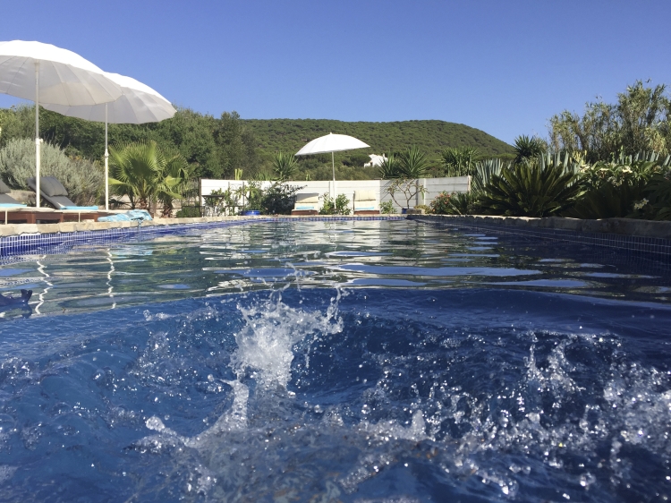 The pool is 13 m long, surrounded by plants and large wild olive trees. The hill belongs to the natural pine forest, and the beach is in 1500 m walking distance.