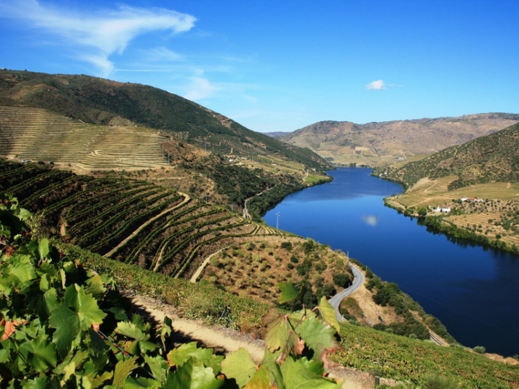 Six Senses Douro Valley 