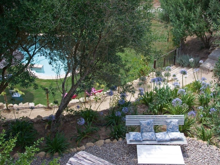 Garden-and-swimming-pool