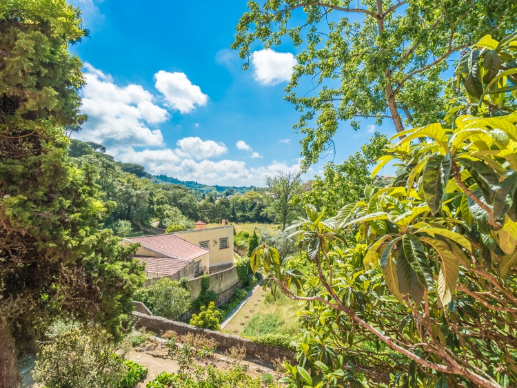 Quinta de Sao Tadeu sintra B6B Hotel charming small