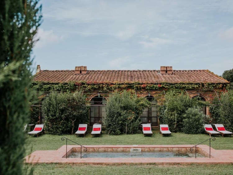 Pool - Lovely holiday apartment Ginestriccio in Bibbona