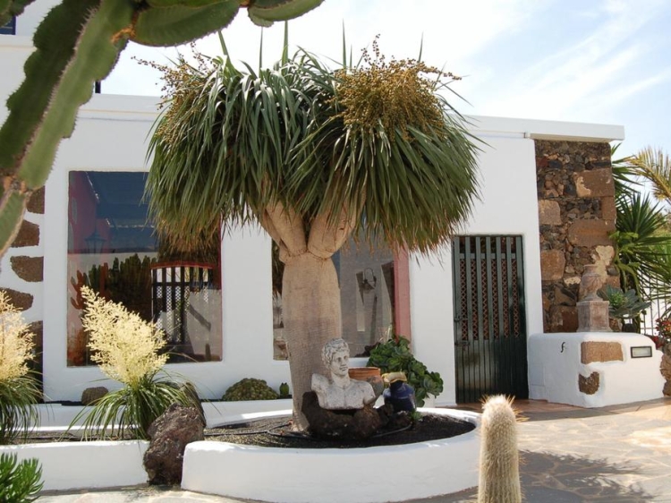 Charming Hip Hotel Tenerife Yaiza Canary Islands