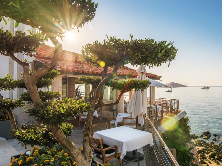Hotel Albatroz