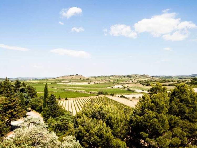 chateau les carrasses quarante castle boutique hotel great view