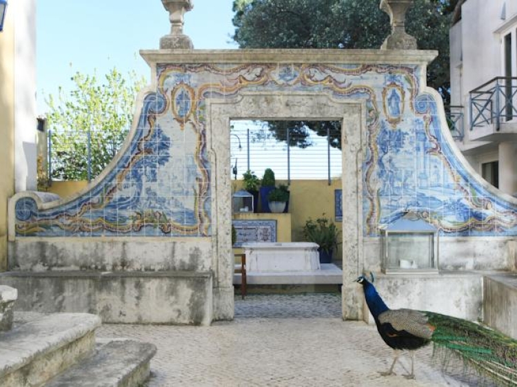 solar do castelo hotel lisbon best