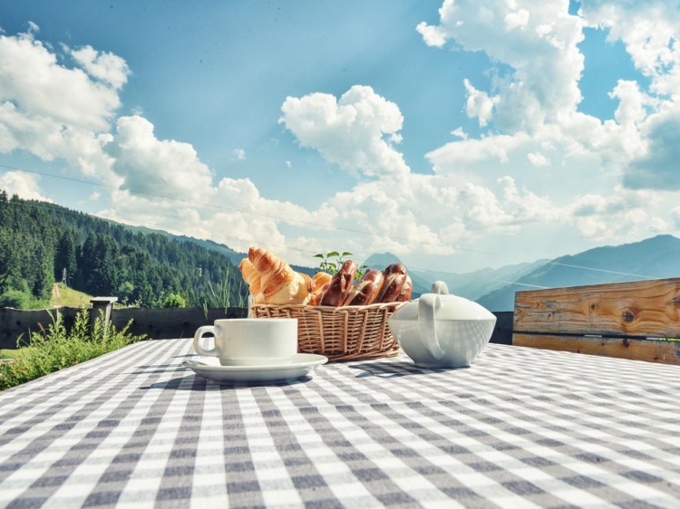 Maierl Alm kirchberg apartment cottage skiing rural countryside mountains