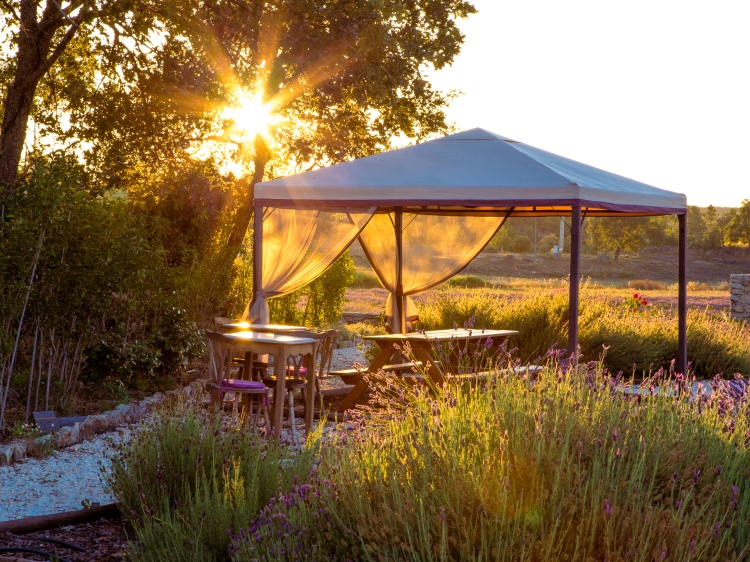 Quinta das LAvandas Castelo de Vide Hotel alto alentejo best romantic