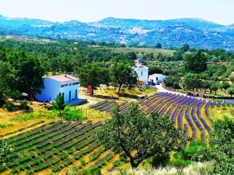 Quinta das LAvandas Castelo de Vide Hotel alto alentejo best