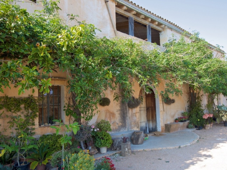 Son Josep de Baix best apartments in Mallorca