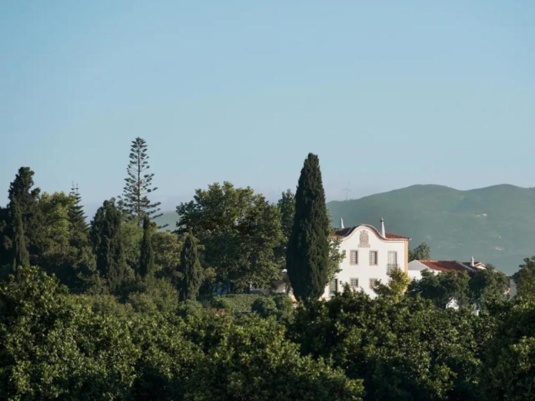 Quinta da Donalda luxury villa in algarve