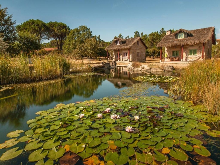 Chão do Rio Holiday Houses Cottages Green Farm Portugal Rural Tourism