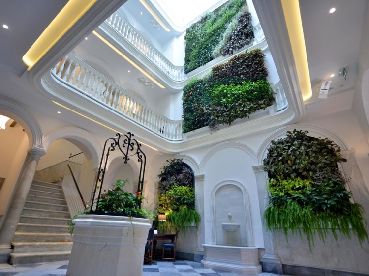 El Armador Casa Palacio Plants Marble 