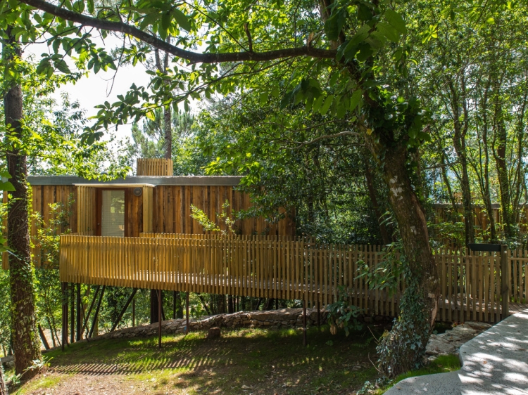 Cabañitas del Bosque Outes cabins in the tree