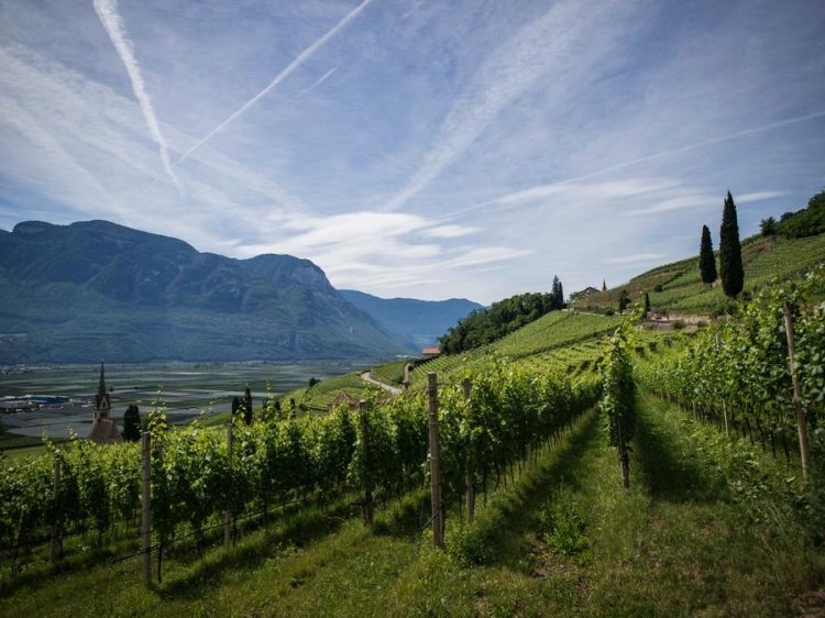 Stay at Das Wanda Italy Kaltern hotel lodging boutique best cheap luxury unique trendy cool small