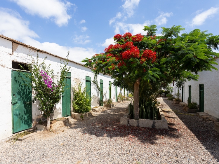 Stay at Villa El Mato Canary Island Tenerife Spain hotel lodging boutique best cheap luxury unique trendy cool small