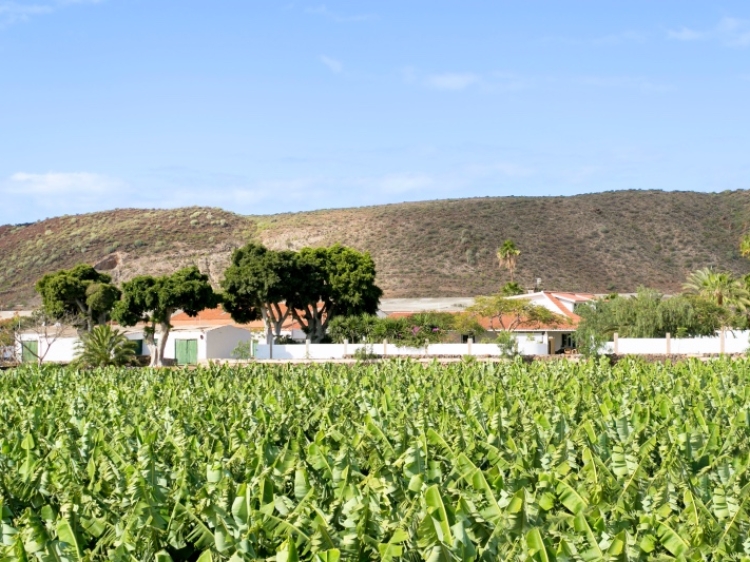 Villa El Mato