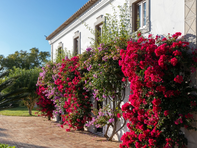 Stay at Quinta do Guine Algarve Portugal hotel lodging boutique best cheap luxury unique trendy cool small