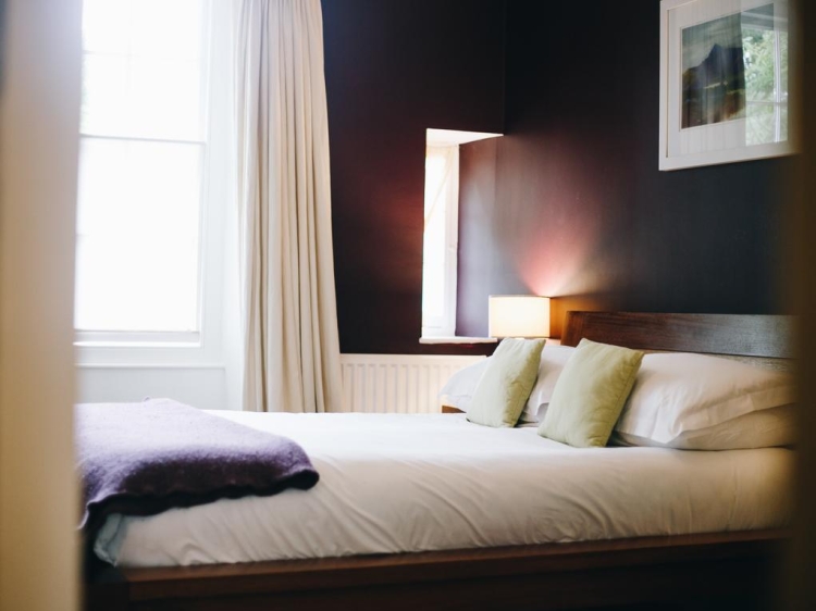 Llys Meddyg Hotel