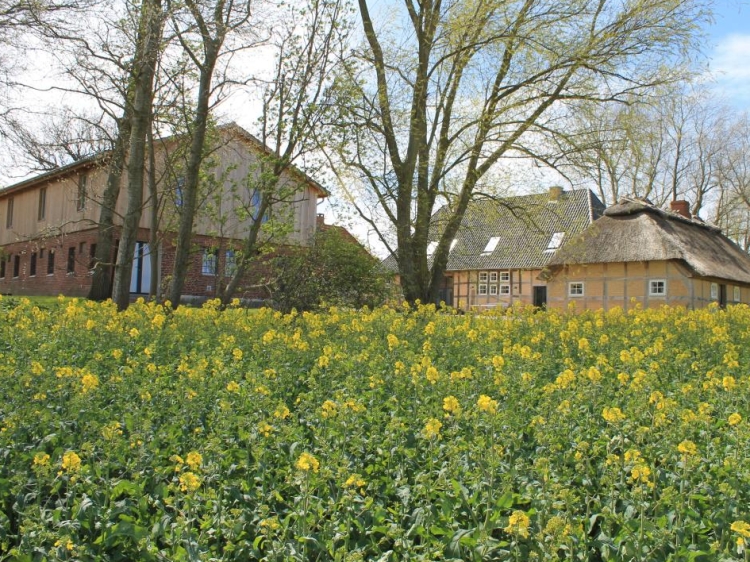 Stay at Ostseehof Langfeld Germany East Coast Boutique Hotel hotel lodging boutique best cheap luxury unique trendy cool small