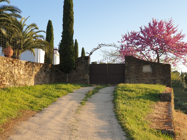 lagar el altozano beautiful country house spain