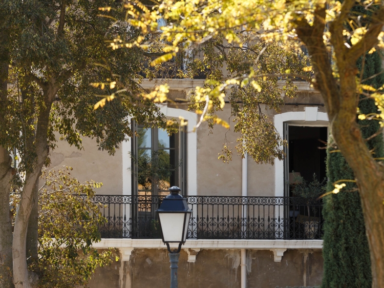 The house viewed from the park