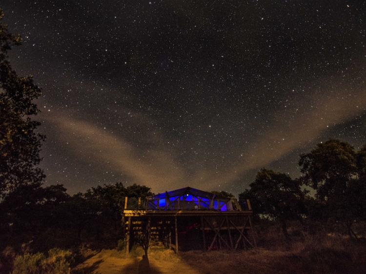 Starlight - Night View