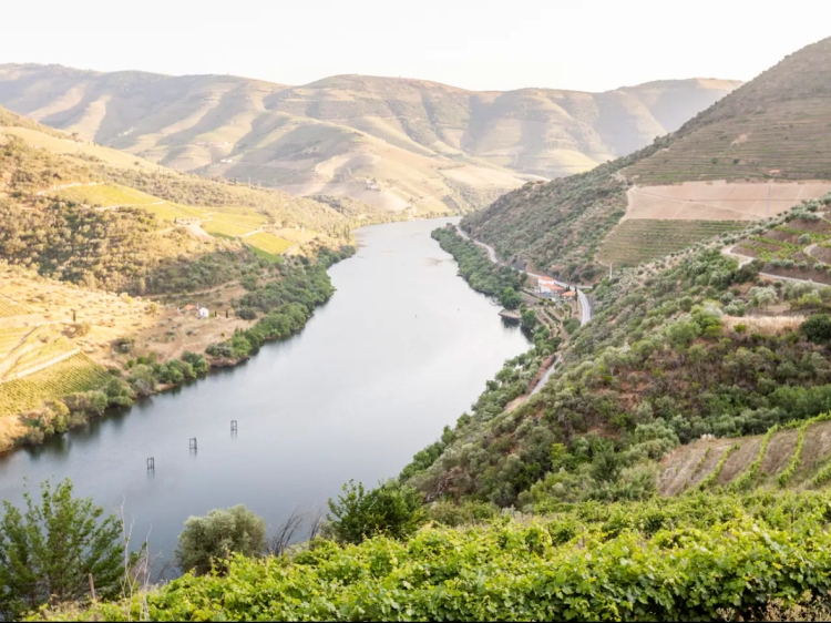 Quinta de Merouço Villa Douro Portugal