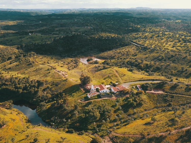 Charming Countryside Retreat Alentejo Portugal