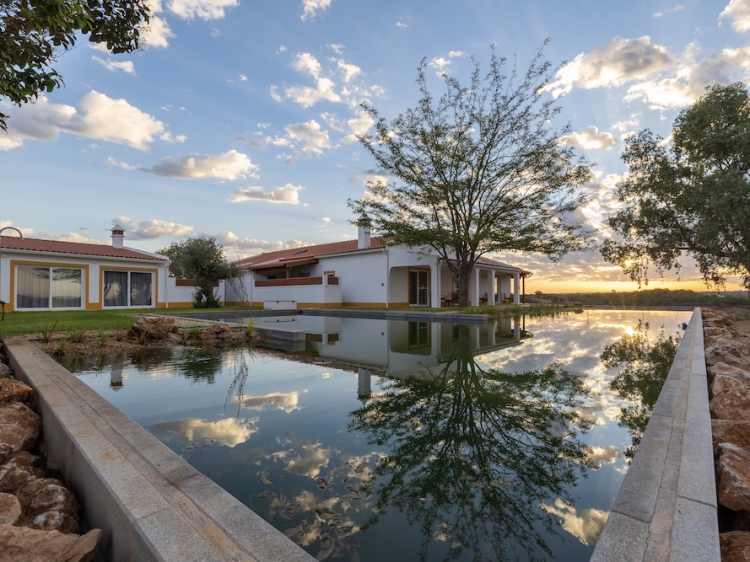Piscina (Lagoa) biologica