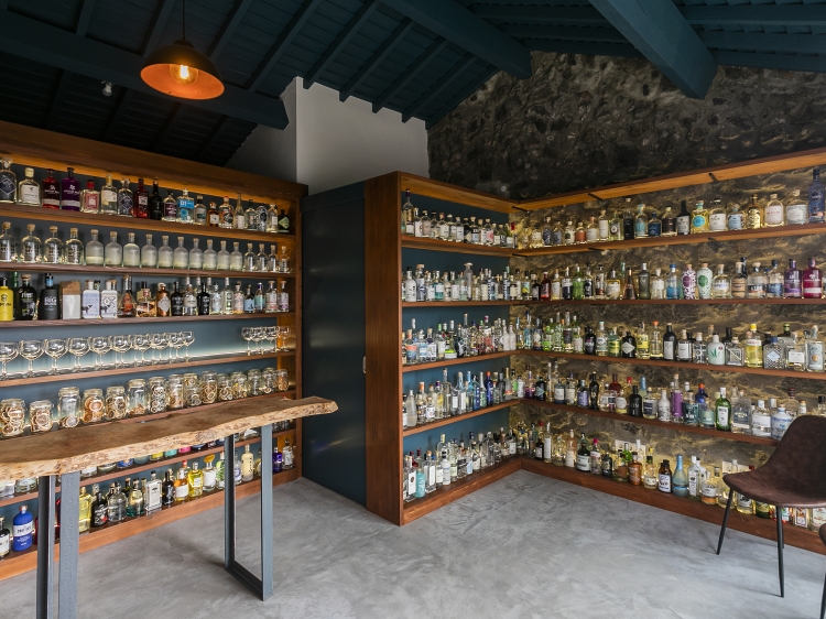 The Gin Library onsite