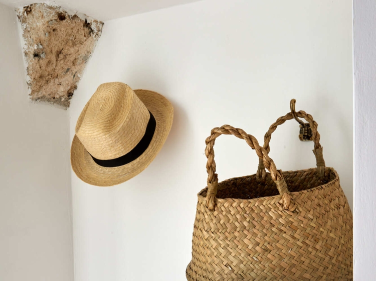 Petra - Country House, Monteroni di Lecce (Itália)