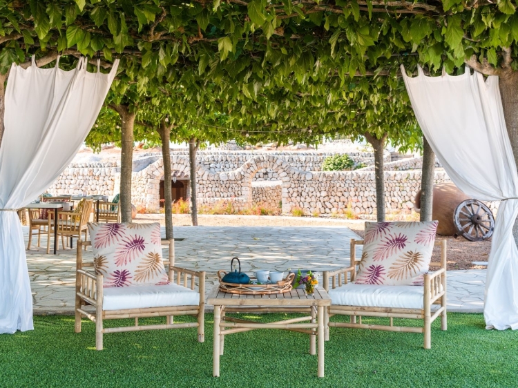 common terrace, chill out area, restaurant