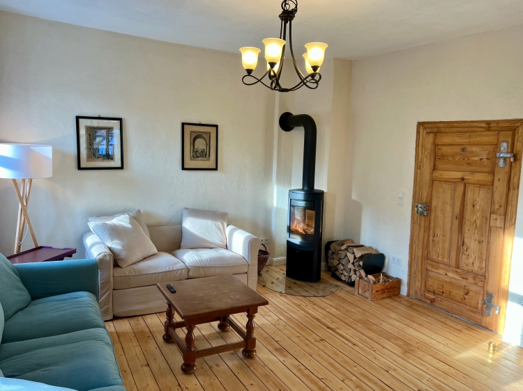Living room with wood-burning stove and television