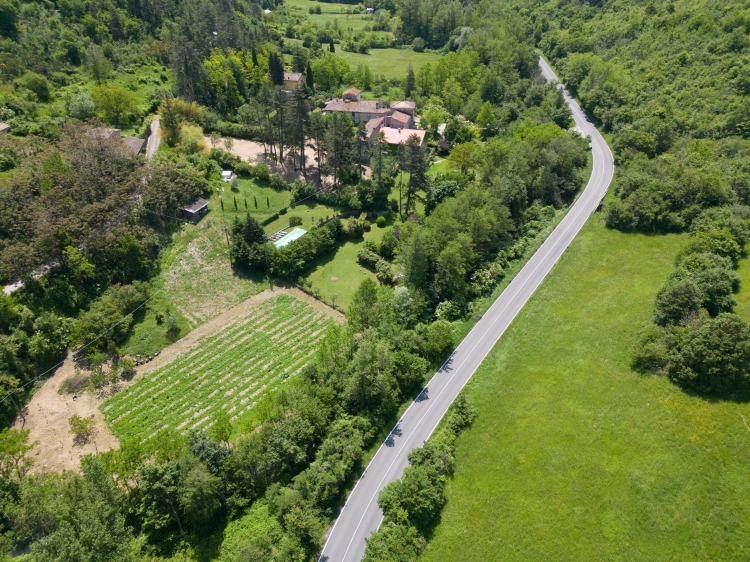 Casa Palmira b&b Tuscany low budget and accept dogs