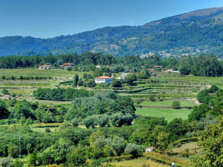 Quinta de Luou, Portugal, Vinho Verde, Secretplaces, Rural, Pool, Countryside