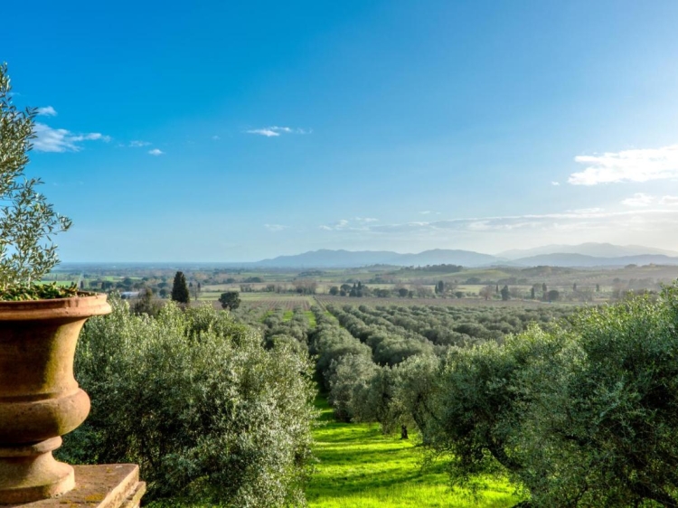 Pieve di Caminino hotel chip and chic Tuscany b&b boho style