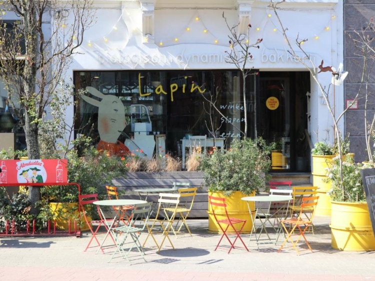 Bed and Breakfast Logies Lapin in Antwerp