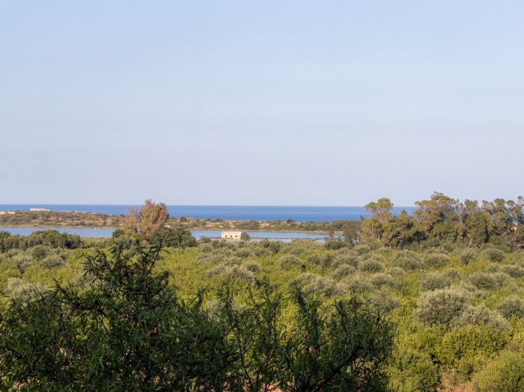 Nature Reserve