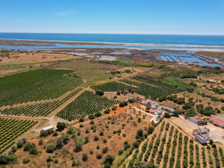 Houe to rent in algarve tavira