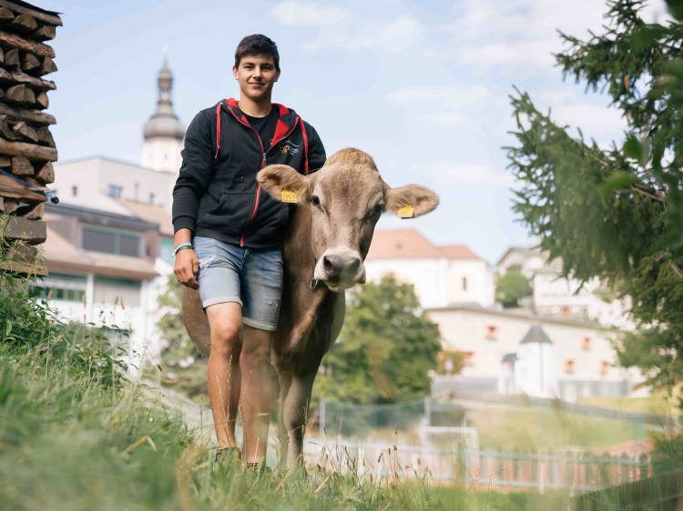 Schulmeisterhof farmlife cow