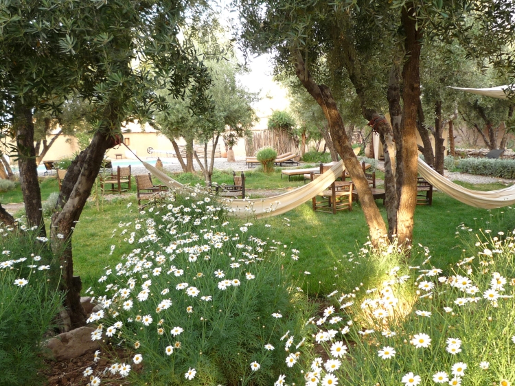 les Jardins de Skoura Ouarzazate Riad hotel Charming Guests house