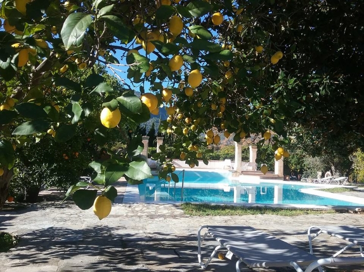 Finca Ca's Sant Mallorca Hotel boutique