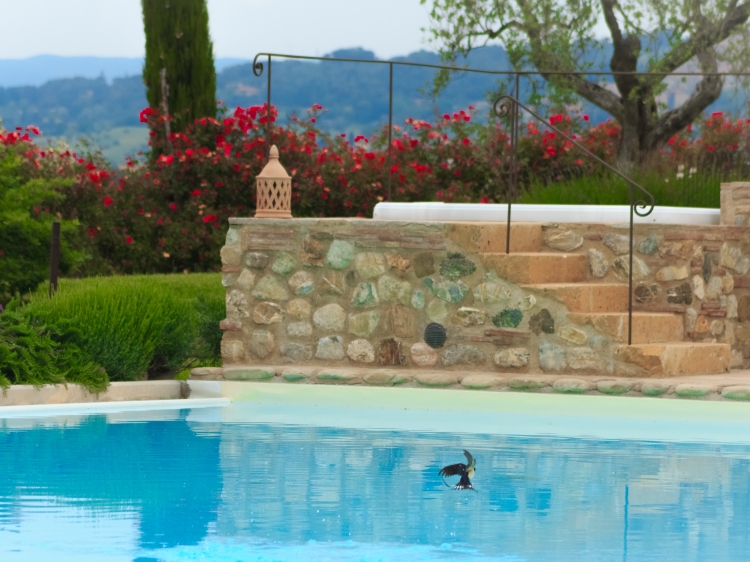 Santa Elena Tuscany best luxury small hotel in tuscany