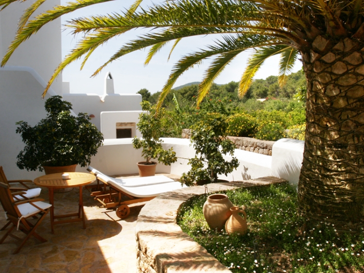 Can Curreu Ibiza Spain Palmera