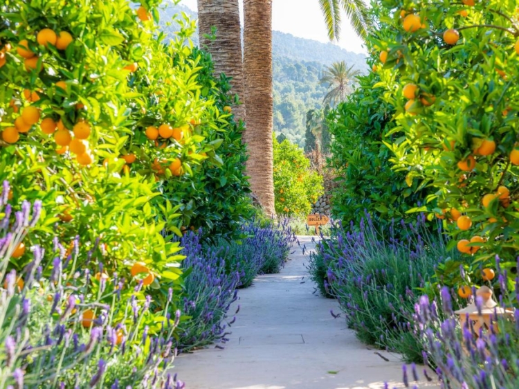 C'as Curial best boutique hotel with swimming pool in Soller