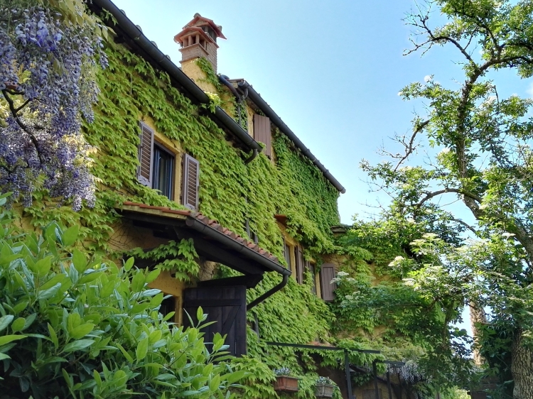 B & B Le Due Volpi boutique small hotel in Vicchio di Mugello Tuscany 